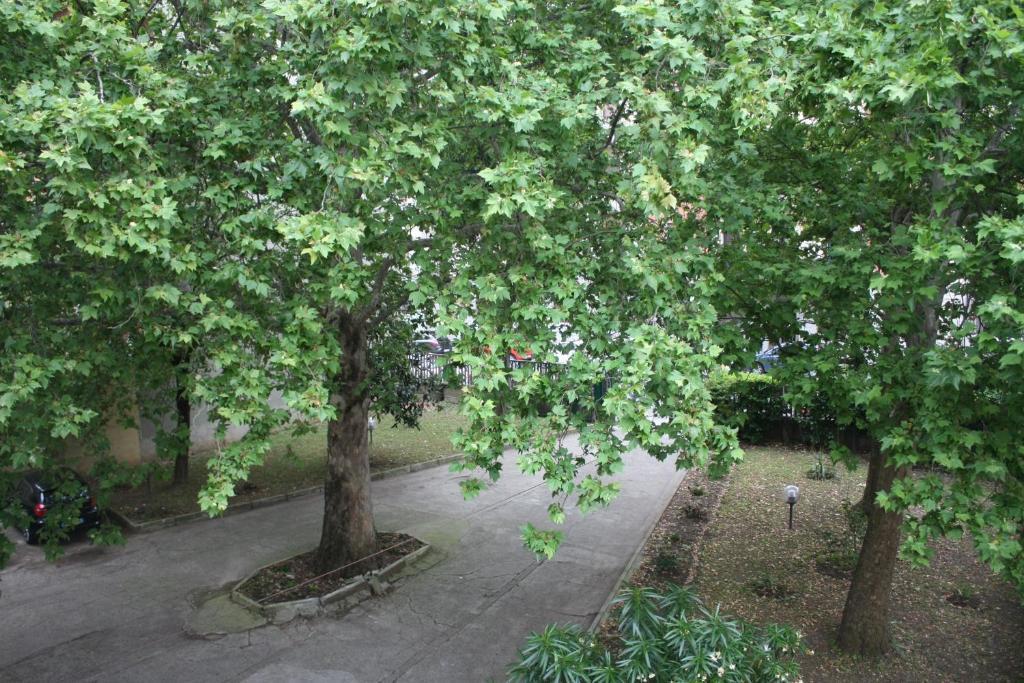 Hotel Garden Milano Exterior foto